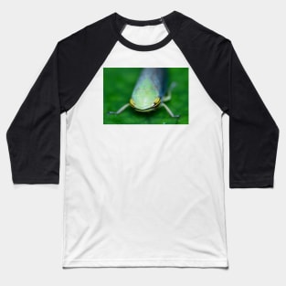 Unique and organic photo of a Cicadellidae Leafhopper Baseball T-Shirt